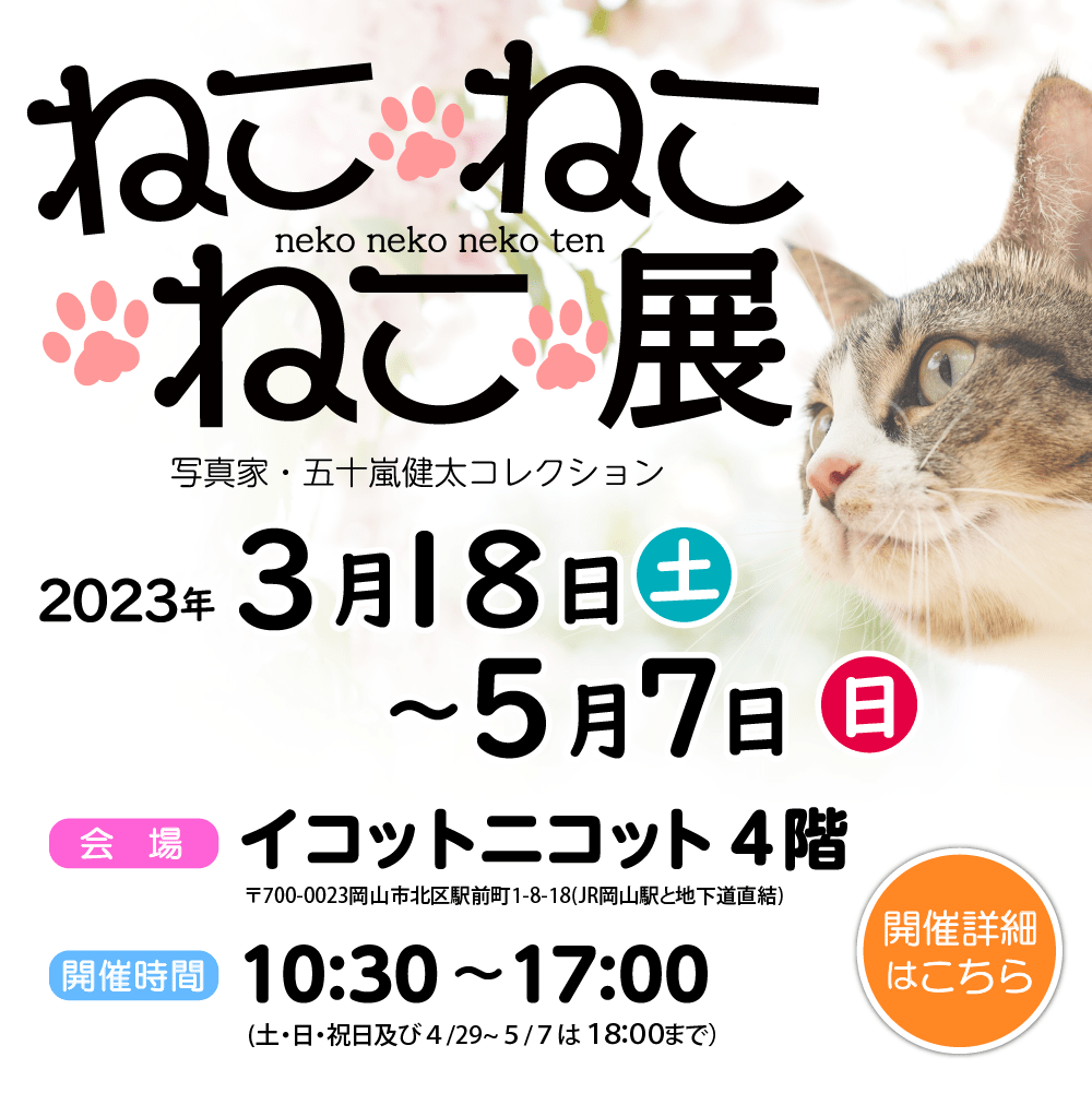 ねこねこねこ展