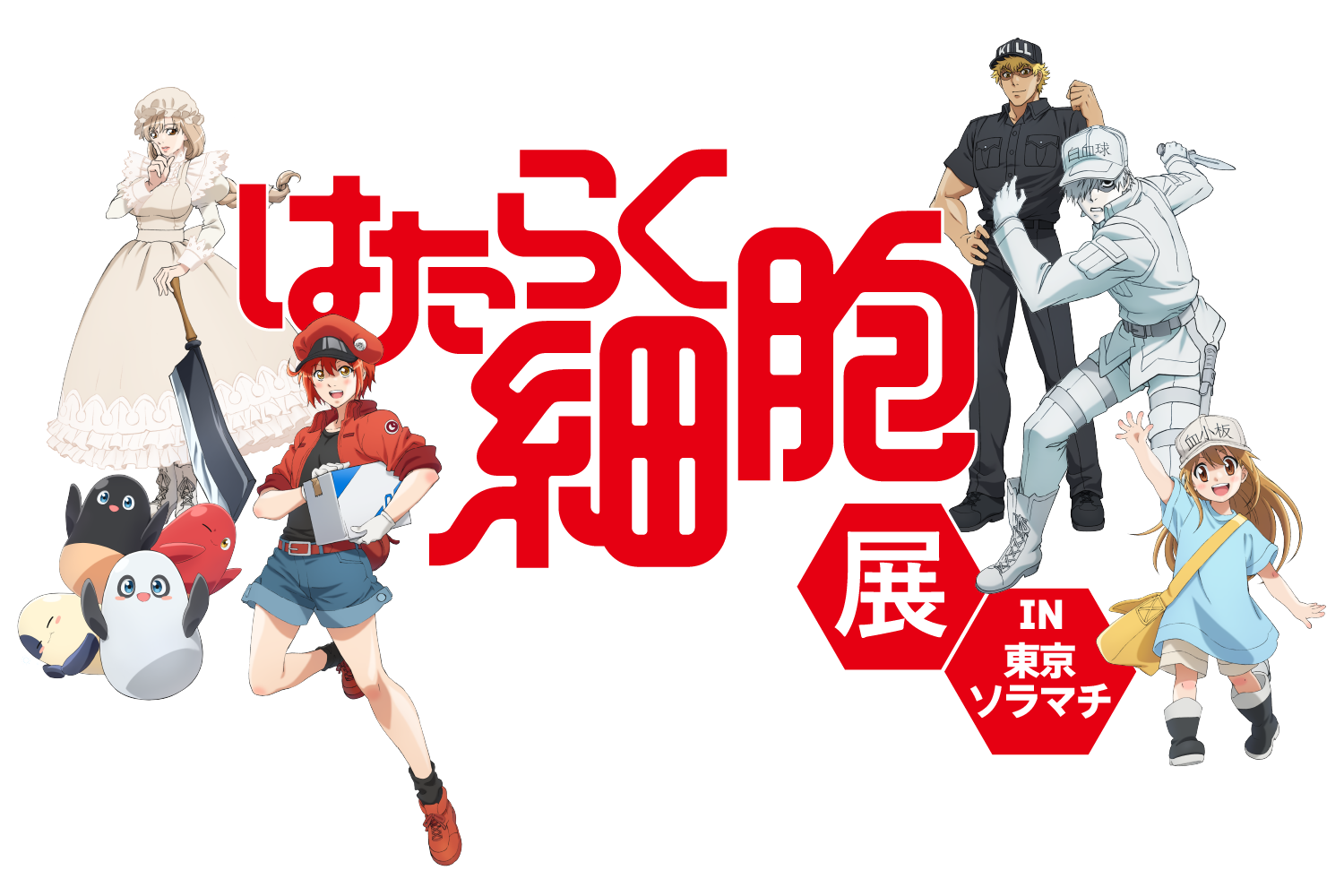 はたらく細胞展IN東京ソラマチ