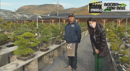 【エピソード１】生産量日本一！高松盆栽　（２０２１年１２月２４日放送）