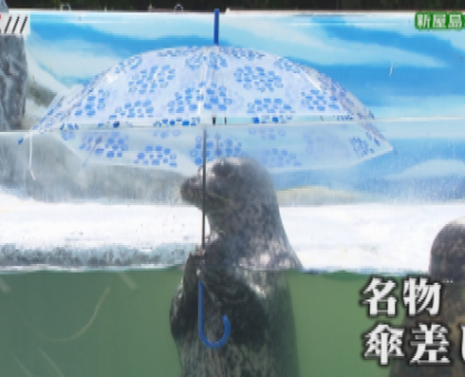 新屋島水族館　３カ月ぶり再開
