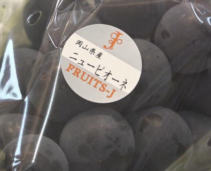 岡山県産のピオーネが初入荷