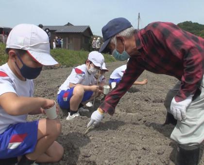 香川県まんのう町でヒマワリ種まき