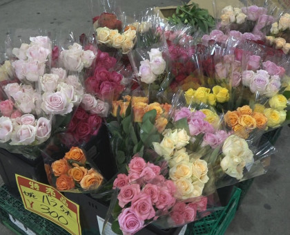アジザイ、バラ…季節の花品定め／岡山市花き地方卸売市場で「お花がいっぱい！カムカム！市場」【岡山市】