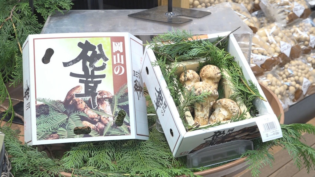 岡山県産のマツタケ初入荷／岡山市の天満屋岡山店【岡山市】 | 岡山