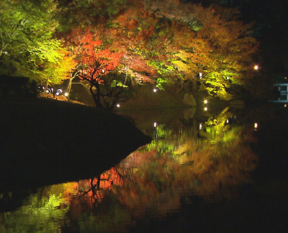 ７００の明かりが夜の園内彩る／１１月２３日から高松市の栗林公園で「秋のライトアップ」【高松市】
