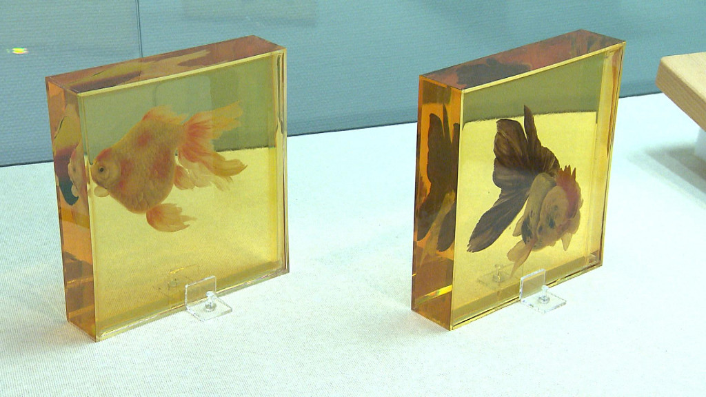 金魚絵師 深堀隆介展 平成しんちう屋 | 平塚市美術館 | 美術館