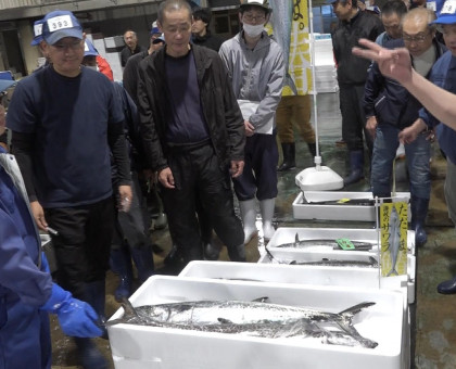 サワラの初競り／漁解禁で高松市中央卸売市場【高松市】