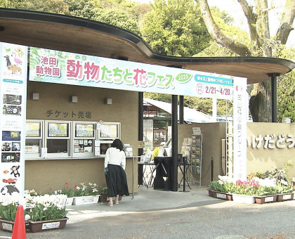 池田動物園、６月から大人の入園料金を値上げ／餌代の高騰受け【岡山市】