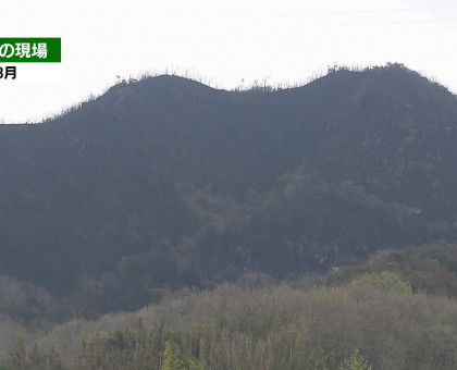 岡山県南の山林火災跡／１カ所で土砂流出し被害出る恐れ【岡山】