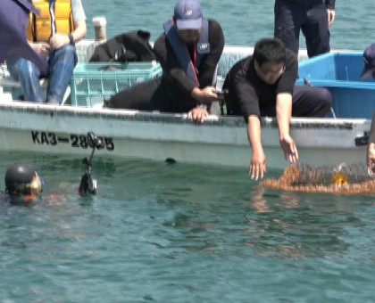 イイダコ「産卵床」を放流／資源の保護・回復へ香川県、庵治漁協など【高松市】