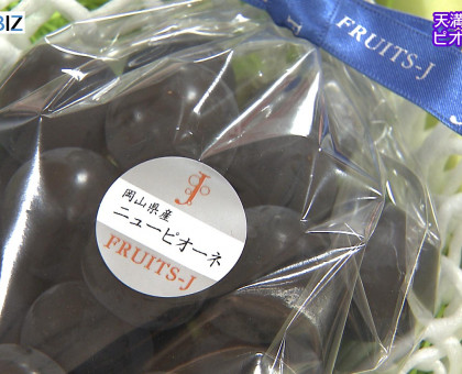 ピオーネ初入荷／岡山市の天満屋岡山店【岡山】