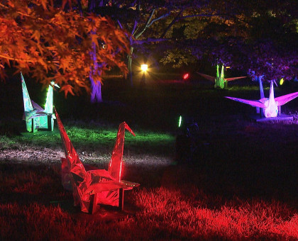 岡山後楽園を光で彩る「秋の幻想庭園」始まる【岡山】