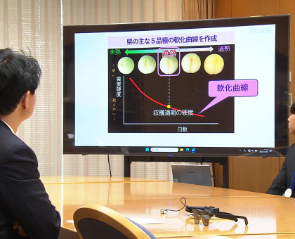 桃の収穫タイミング見極められる岡山県開発のスマート農業システム／全国知事会のアワードで「大賞」受賞【岡山】
