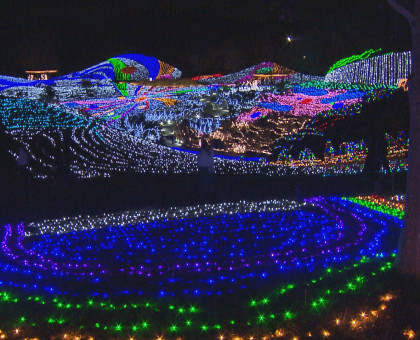 国営讃岐まんのう公園でイルミ「ウィンターファンタジー」／来年１月１２日まで【香川】