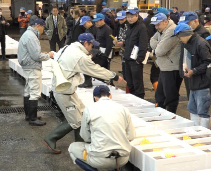 競り人の威勢のいい掛け声響く／岡山市中央卸売市場で初市【岡山】