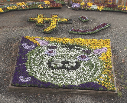 「動物たちと花フェス」始まる／岡山市の池田動物園／４月１９日まで【岡山】