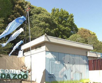 「世界難民の日」前に、平和表す国連カラーのこいのぼり掲揚／岡山市の池田動物園【岡山】