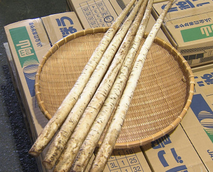 倉敷市の特産品「連島ごぼう」／地区で出発式【岡山】