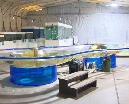 高松市中央卸売市場内の「市場水族館」閉館/新屋島水族館は来春オープン予定