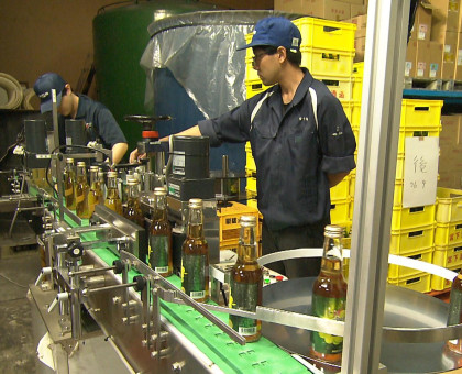 マスカットのスパークリングワイン販売へ／宮下酒造、耕作放棄地でブドウ栽培も