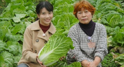 「はじめおばあちゃんの白菜の煮物」