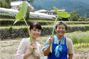 「國子おばあちゃんのハスの酢和え」