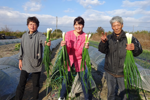 「惠子おばあちゃんの葉タマネギのぬた」