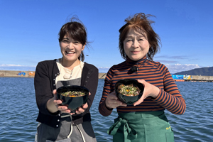 「緑おばあちゃんのひけた鰤の漬け丼」