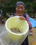 柴田全子（まさこ）さん７５歳2