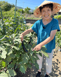 天雲登美子さん（７１）