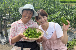 「美砂子おばあちゃんのピーマンの肉詰め」