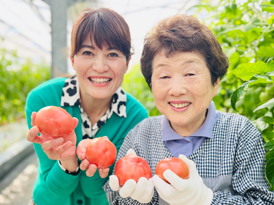 「悦子おばあちゃんのトマトグラタン」