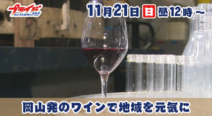 11月21日（日）放送「岡山発のワインで地域を元気に」
