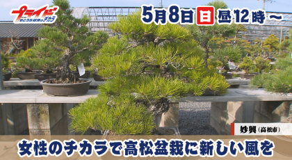 ５月８日（日）放送「女性のチカラで高松盆栽に新しい風を」