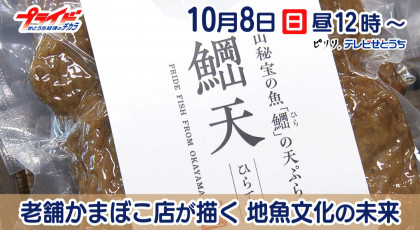 10月8日放送｢老舗かまぼこ店が描く　地魚文化の未来｣