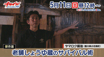 5月11日（日）放送「傑作選・老舗しょうゆ蔵のサバイバル術」