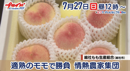 ７月２７日（日）放送「適熟のモモで勝負　情熱農家集団」
