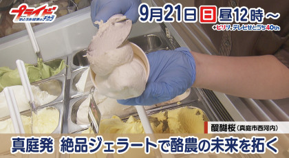 ９月２１日（日）放送「真庭発 絶品ジェラートで酪農の未来を拓く」