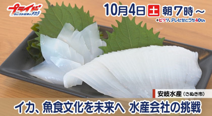 １０月４日（土）放送「イカ、魚食文化を未来へ 水産会社の挑戦」