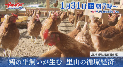 １月３１日（土）放送「鶏の平飼いが生む 里山の循環経済」