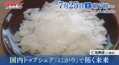 ７月２５日（土）放送「国内トップシェア『にがり』で拓く未来」