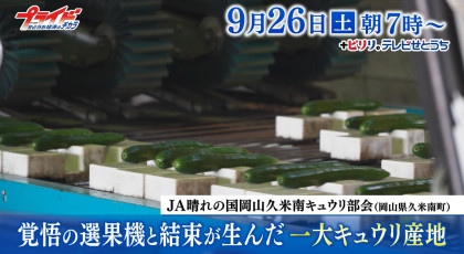 ９月２６日（土）放送「覚悟の選果機と結束が生んだ一大キュウリ産地」