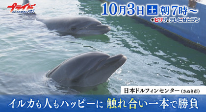 １０月３日（土）放送「イルカも人もハッピーに　触れ合い一本で勝負」