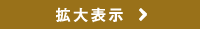 拡大表示