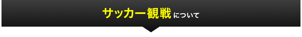 サッカー観戦について