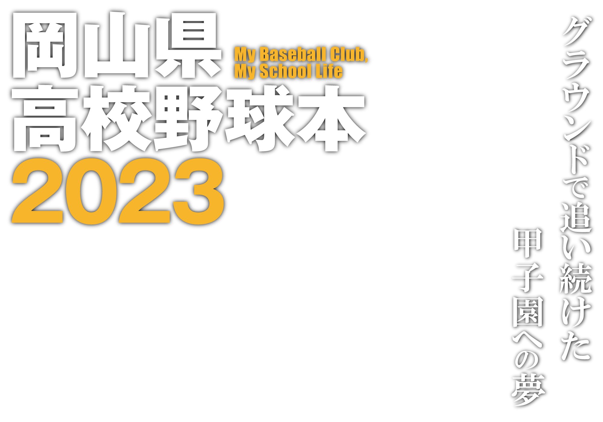 岡山県高校野球本2023