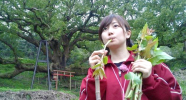 satake04_thumb