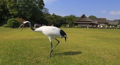 米どころ岡山