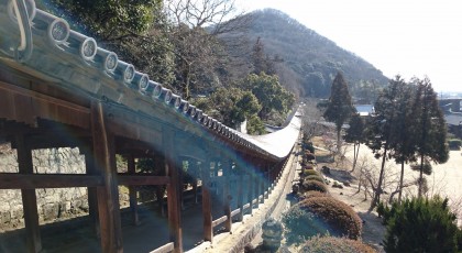 吉備津神社と梅