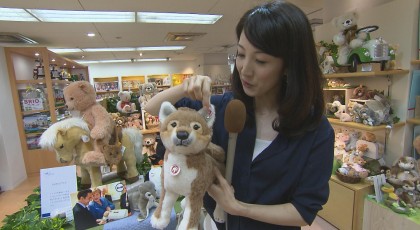 岡山にシュタイフのテディベア♡